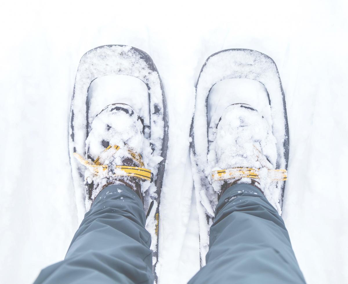 Love Local: Snowshoeing