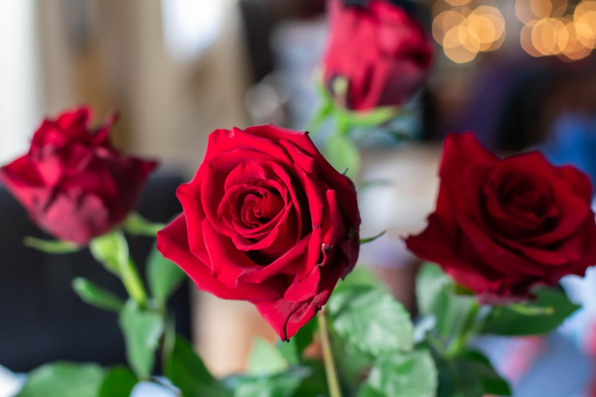 Love Local: flowers