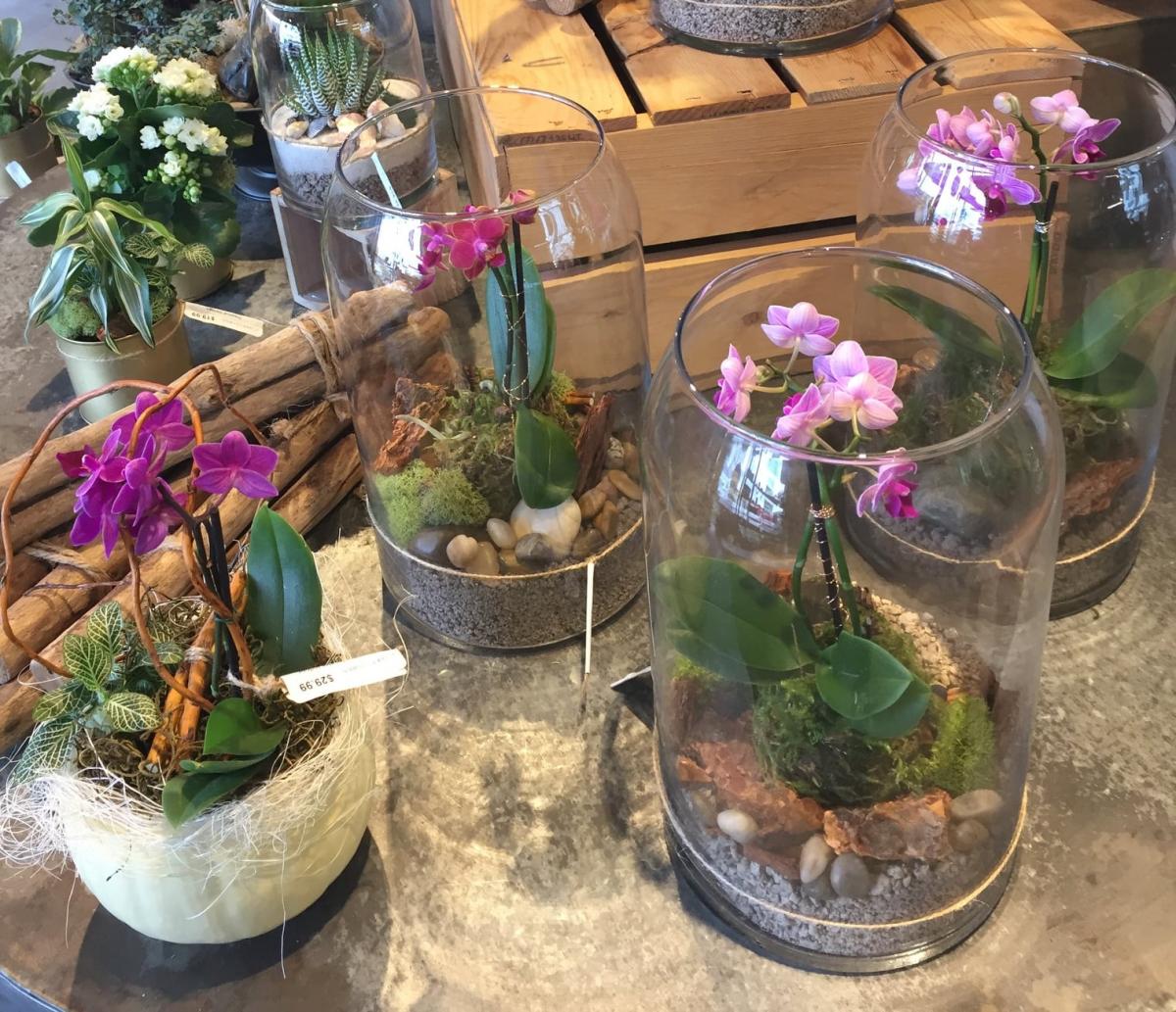 Love Local: GardenWorks