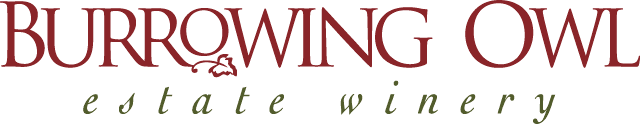 Burrowing Owl logo