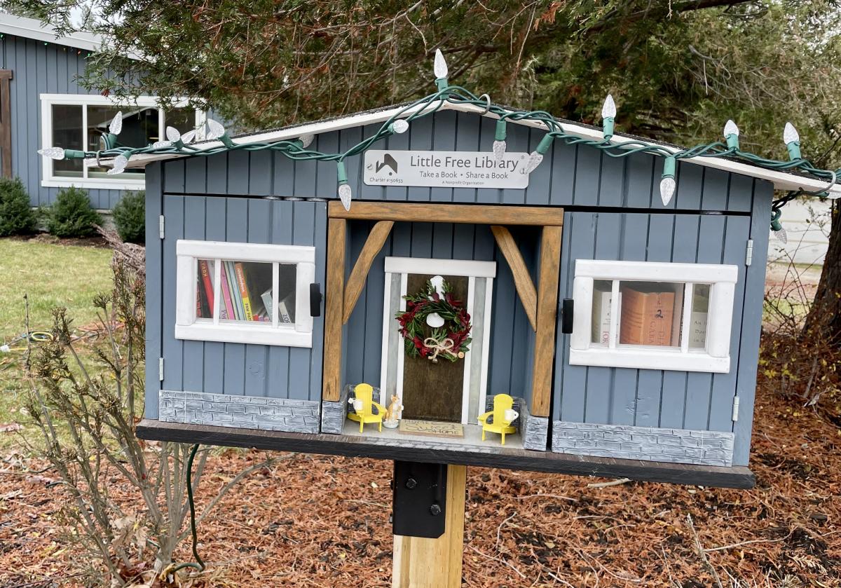 Ridgedale Ave little library
