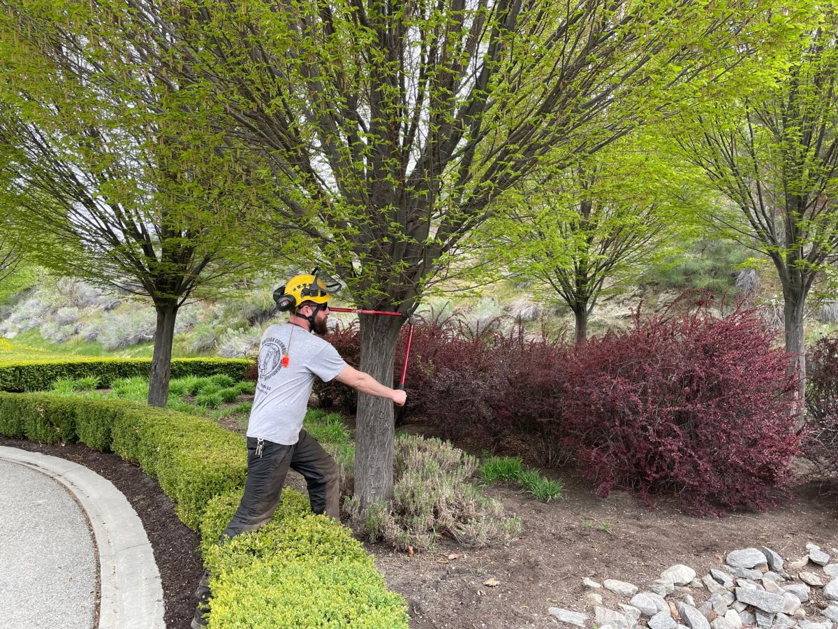 Public Works Week - Josh Clausen