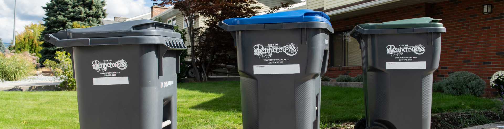 Garbag, Recycling and Yard Waste carts
