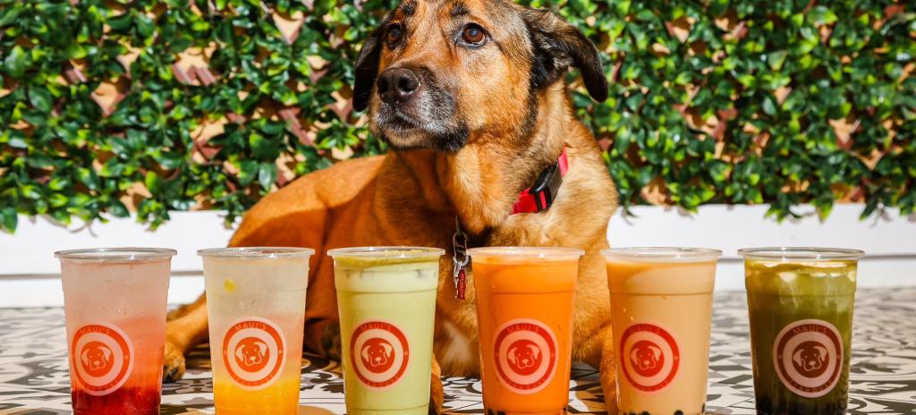Bubble tea - Maui's - Start Here Penticton