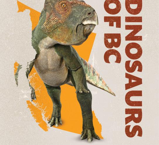 dinosaur