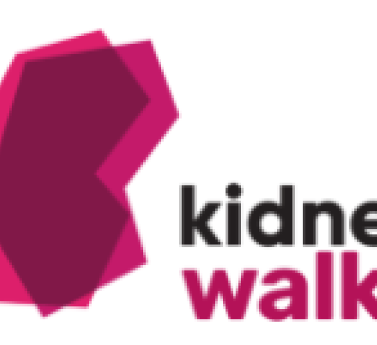 kidney