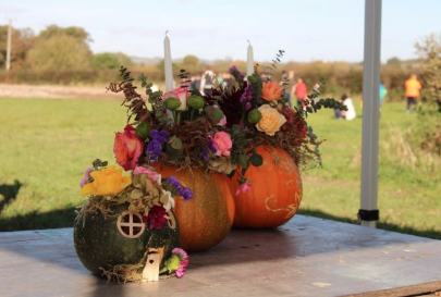 pumpkin vases