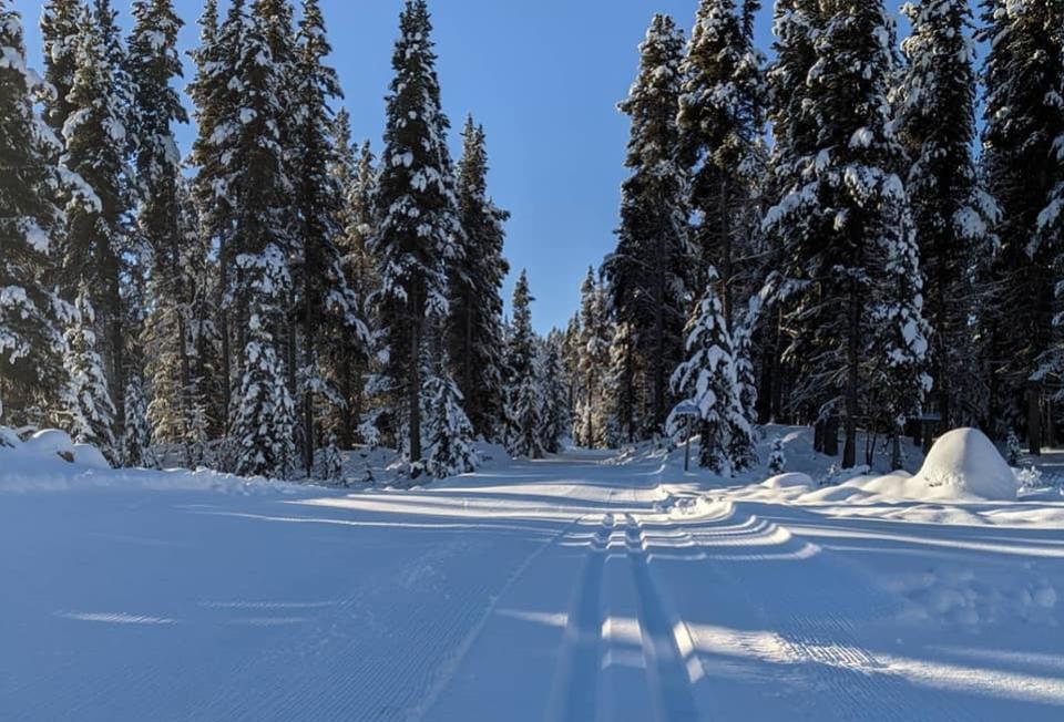 Nickel Plate cross country - Nordic skiing