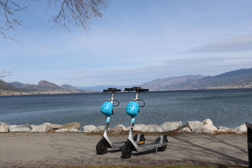 Bird e-scooter