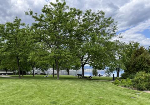 Parks