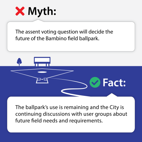 Assent vote: Fact 4