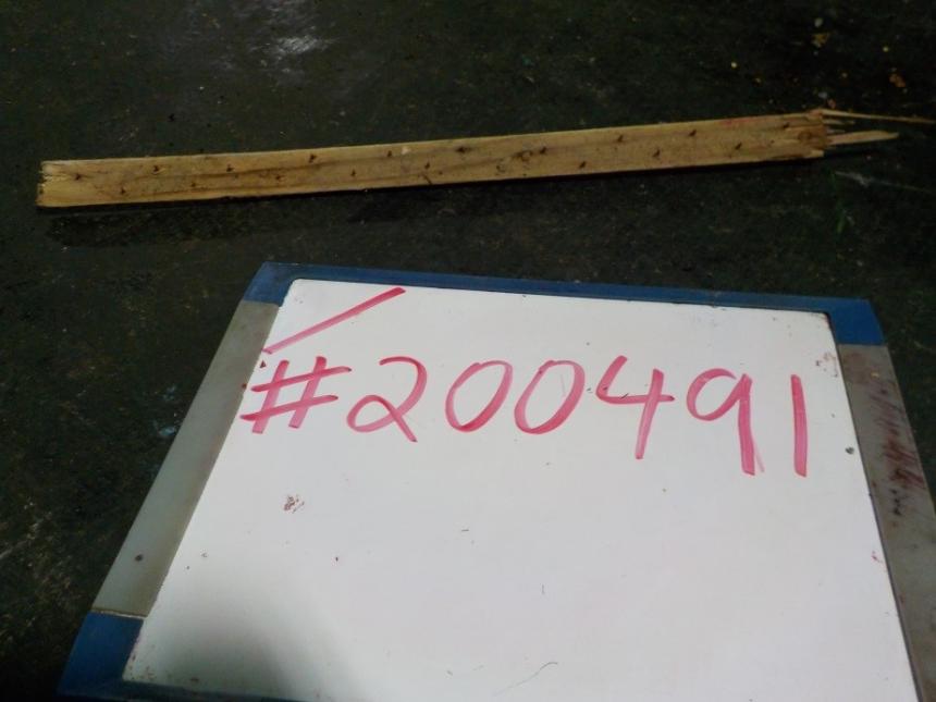Spotted in recycling: Wood is not accepted