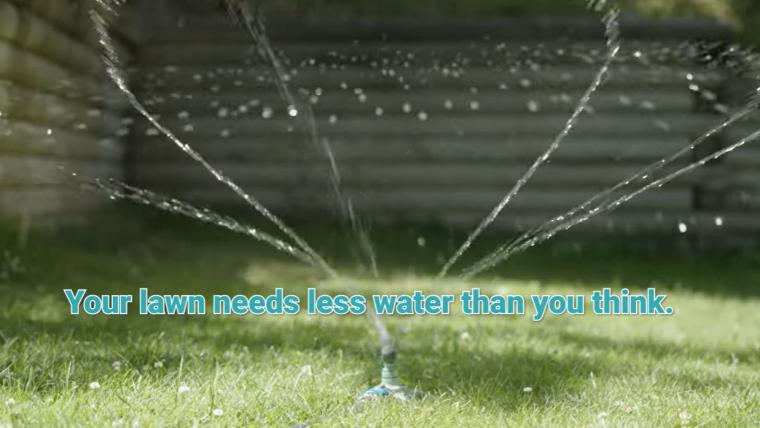 Lawn watering tips